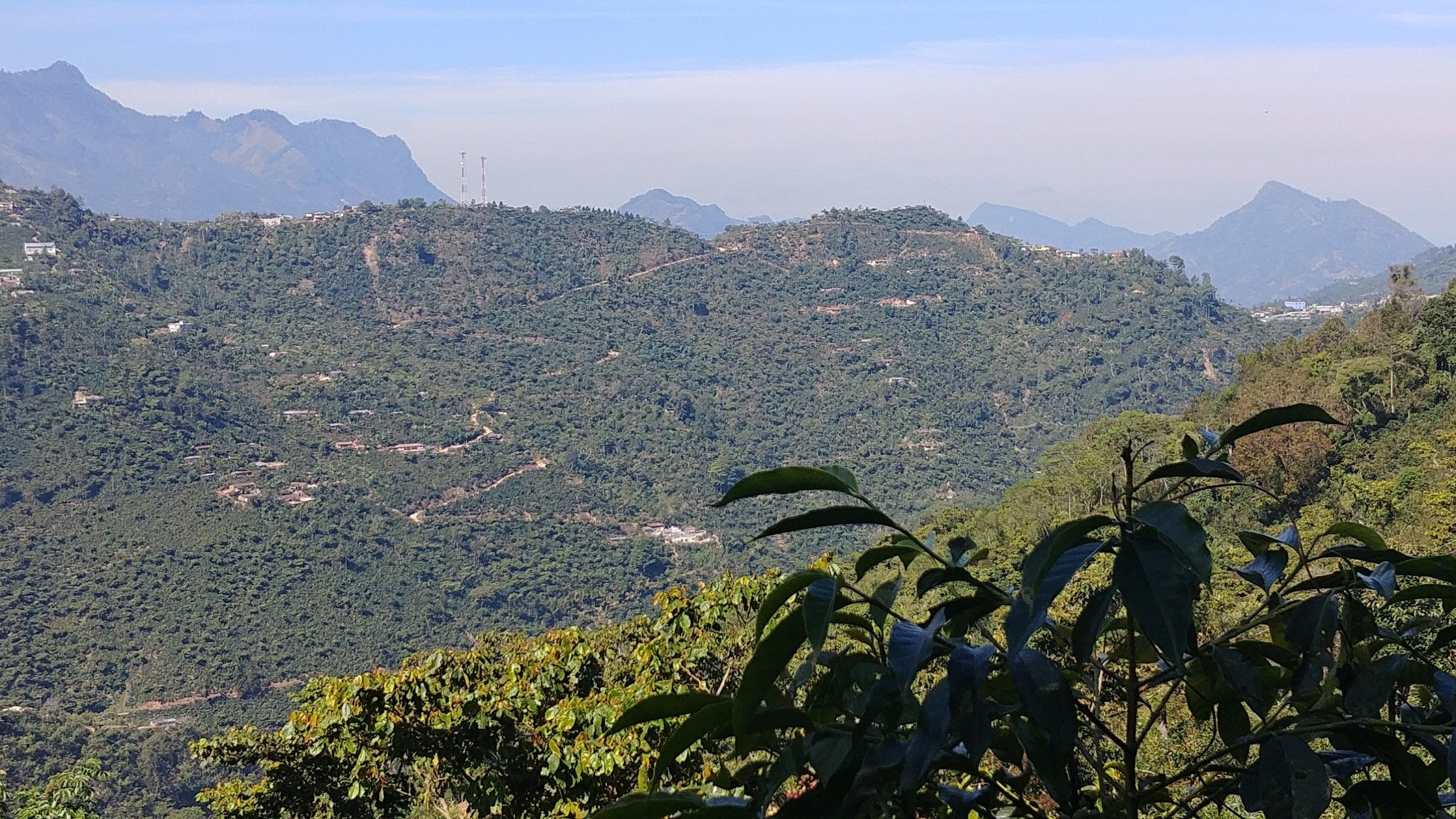 Finca Familia Ramirez